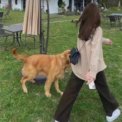超时空爱杀